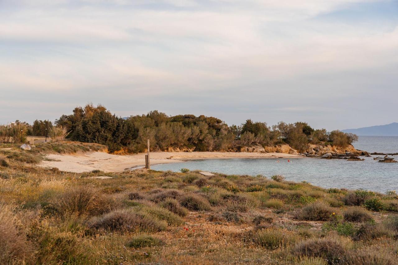 Villa Nausicaa Kastraki Naxos Naxos City Kültér fotó